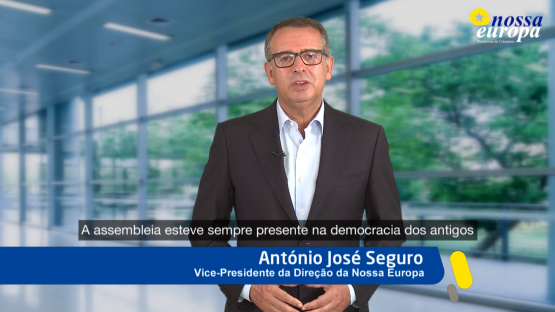 A Assembleia da República na Constituição