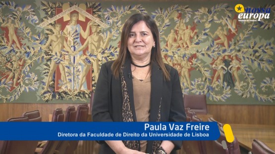 A Constituição Económica