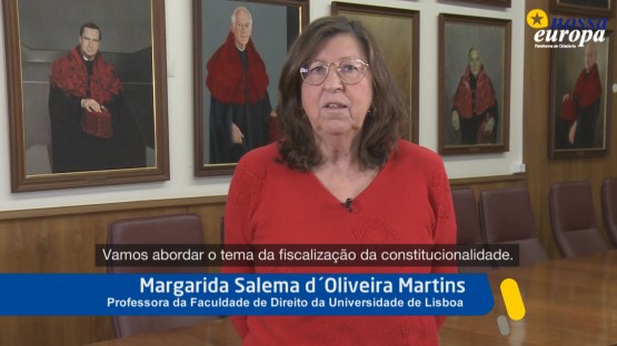 Fiscalização da Constitucionalidade