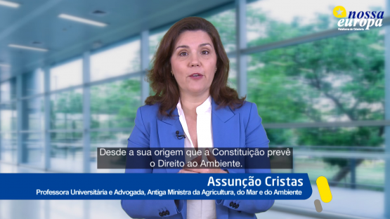 Ambiente na Constituição